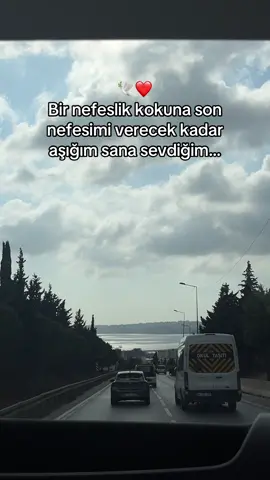 Aşığım sana… #elbetbirgün🕊️ 