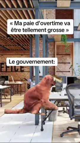 #Meme #MemeCut 