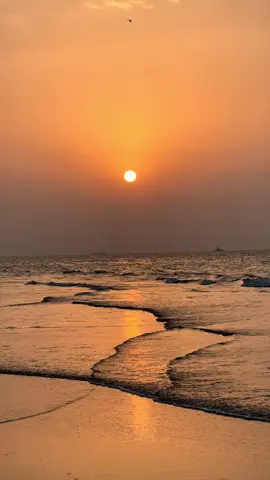 شاطيء القرم - مسقط 📍