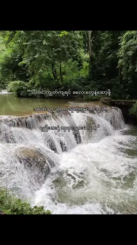 ##ငိုပီပြန်လာခဲ့ရတယ်#fypシ゚viral #fyppppppppppppppppppppppp #