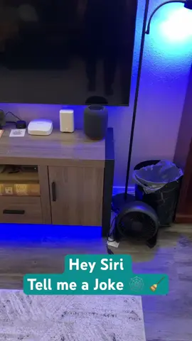 Hey Siri, tell me a Joke 🕸️🧹
