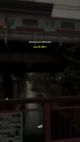 හ්ම්🥺😂🤌 #dewpage #දේව්💛 