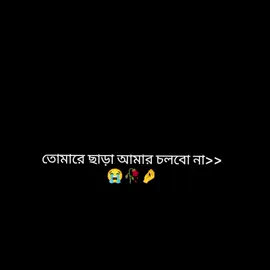 তোমারে ছাড়া আমার চলবো না.. 😭❤️‍🩹#foryoupage #plzviral🥺🥺🙏🙏foryoupage #fyp #viralvideo #tiktokofficialbangladesh @TikTok @tiktok creators @#foryou 