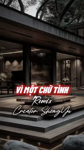 Cứ ngỡ cả đời nào đâu chỉ là nhất thời | Vì Một Chữ Tình Remix 2 Ảnh #nhachaymoingay #盛宇shengyu #capcut #capcutpioneer #pioneertemplate 