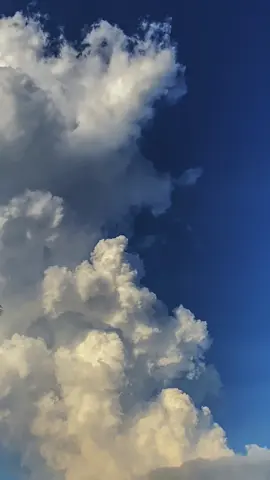 Suka bgt liat langit sebelum mendung karena bisa ketemu awan secakep ini ☁️🥹 ##fyp##langit##awan##astrophile##nature