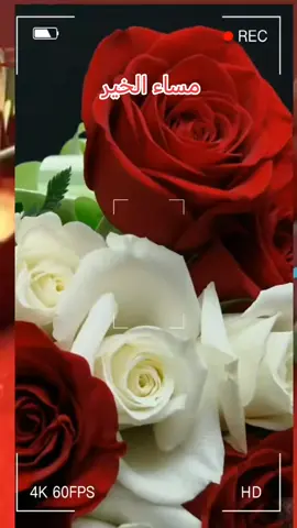 #في هذا اليوم #مساء_الخير #مساكم_سعادة_لاتنتهي🌹🌺❤️❤️ #CapCut 