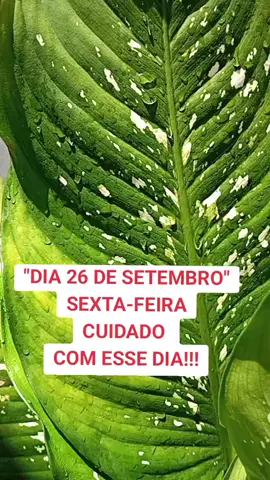 oque vai acontecer dia 26 de setembro! #horoscopo #signos #marciasensitiva #astrologia #dinheiro 