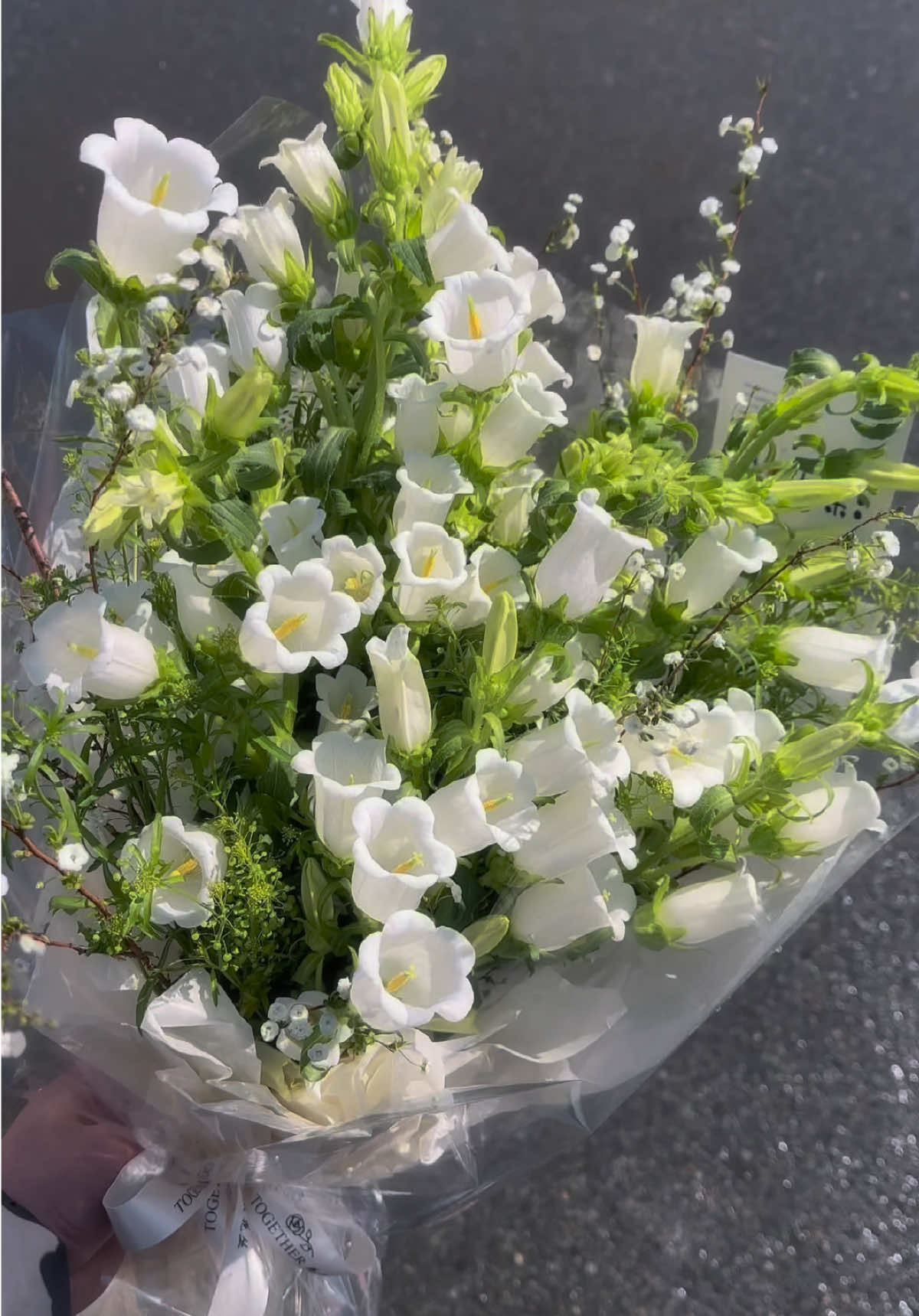 Trông trời, trông đất, trông mây Trông mưa, trông nắng, trong lòng nhớ em. #simeflowers #simeflorist #hoa #fyp #xuhuong 