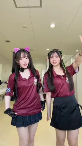 学校のアイドルは可愛いにゃん🐾@犬歯  #fyp #08 #文化祭 