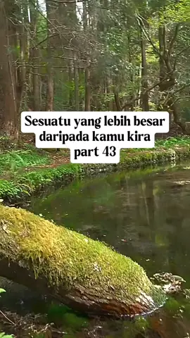Sesuatu yang lebih besar daripada kamu kira  #faktaunik #pausbungkuk #kapalperang #napoleon #fyp 