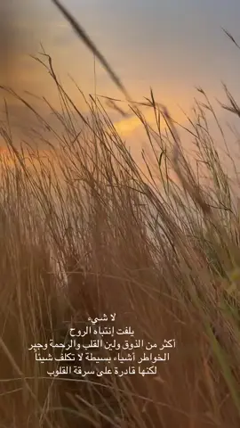 لا شي يلفت انتباه الروح 