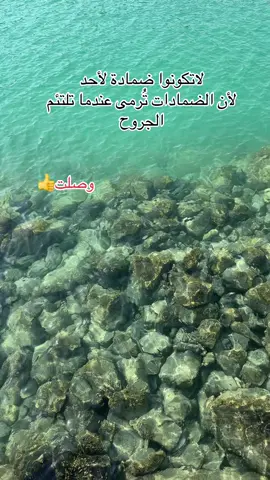 موسيقى بحر #ماجدة #كلمات #تصوير #السعودية #في 