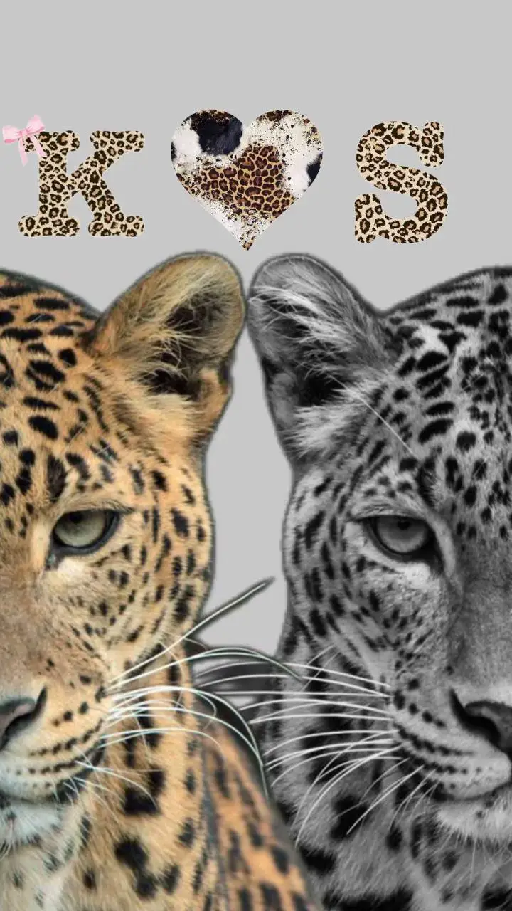 #tiktok #tiger 