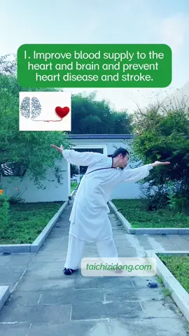 https://taichizidong.com Specific exercise improve symptoms, daily full-body exercises remove root causes.