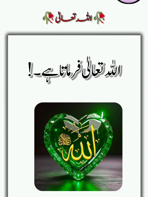 اللہ تعالیٰ فرماتا ہے 🥰❤️#fyp #islmic_video #Islam_Lovers 