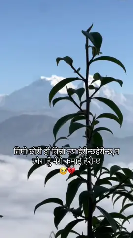 तिमी छोरी हौ तिम्रो रुप हेरीन्छहेरीन्छ,म छोरा हुँ मेरो कमाई हेरीन्छ 🥹💔 #foryoupage #goviralvideo #creatorsearchinsights 