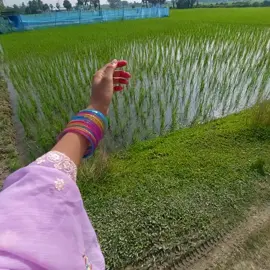 এই রকম কেন করি সেটাও বুজিনা🙂🤣🤣🤣🤣🤣#viraltiktok #CapCut #tiktokviral #foryoupage #tiktokviral 