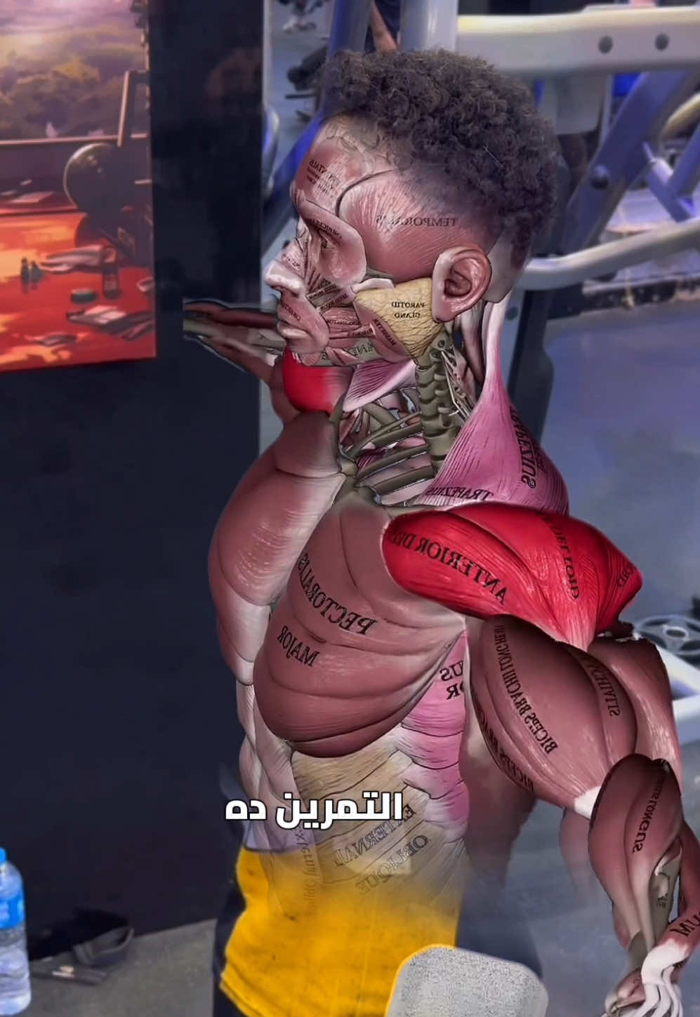 اوعى تتمرن التمرين ده؟ . . . . . . . . . . . . . . . #gym #abs #sixpacks #تمرين #عضلات 