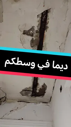 #النائب_عزالدين_زحوف #زيارات_تفقدية_للمواطنين ببلدية حسين داي 
