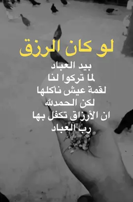 #دعاء #اقوال_وحكم_من_الواقع #اكسبلورexplore #سوريا_تركيا_العراق_السعودية_الكويت #