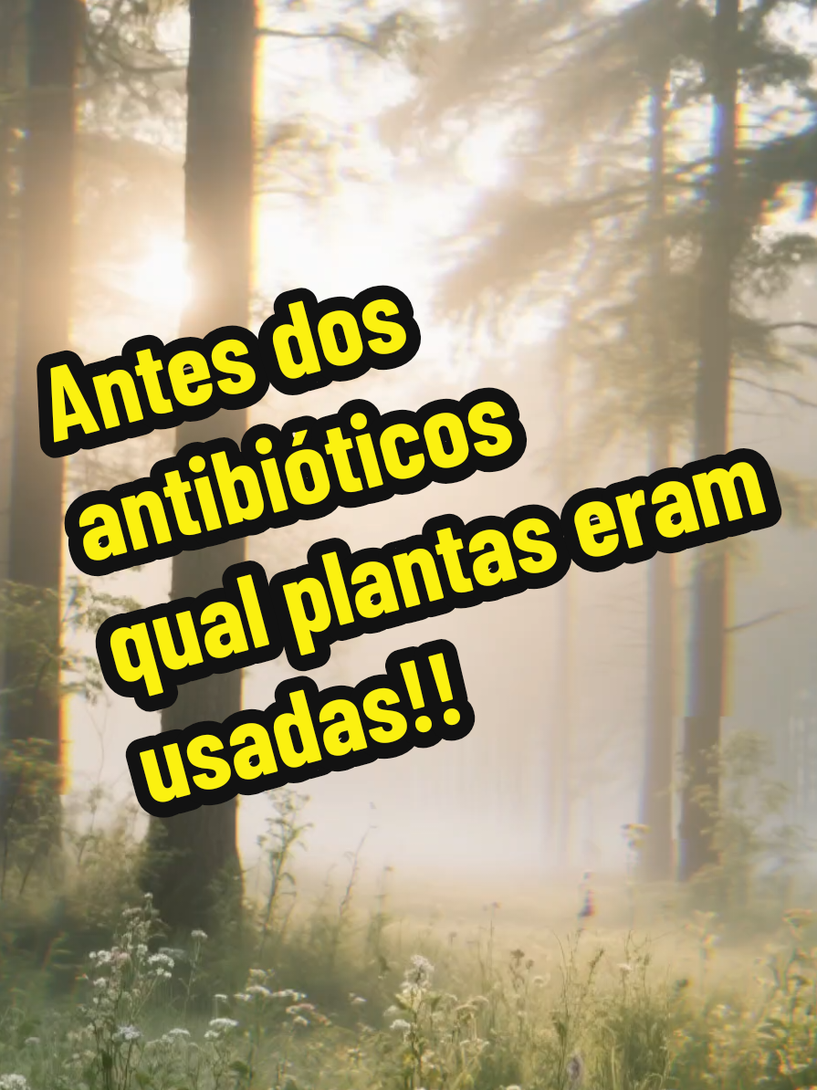 Antes da era dos antibióticos, qual plantas eram usadas! #curiosidades #saude #vida 