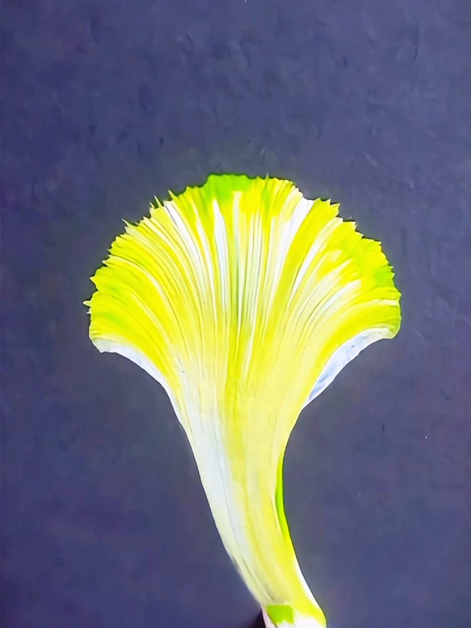 ✨ ⭐ mesmerizing beautiful one stroke painting 🎨🖌️⭐ #onestroke  #flowerspainting  #3dpainting  #floralart  #painting  #satisfying  #bursh 