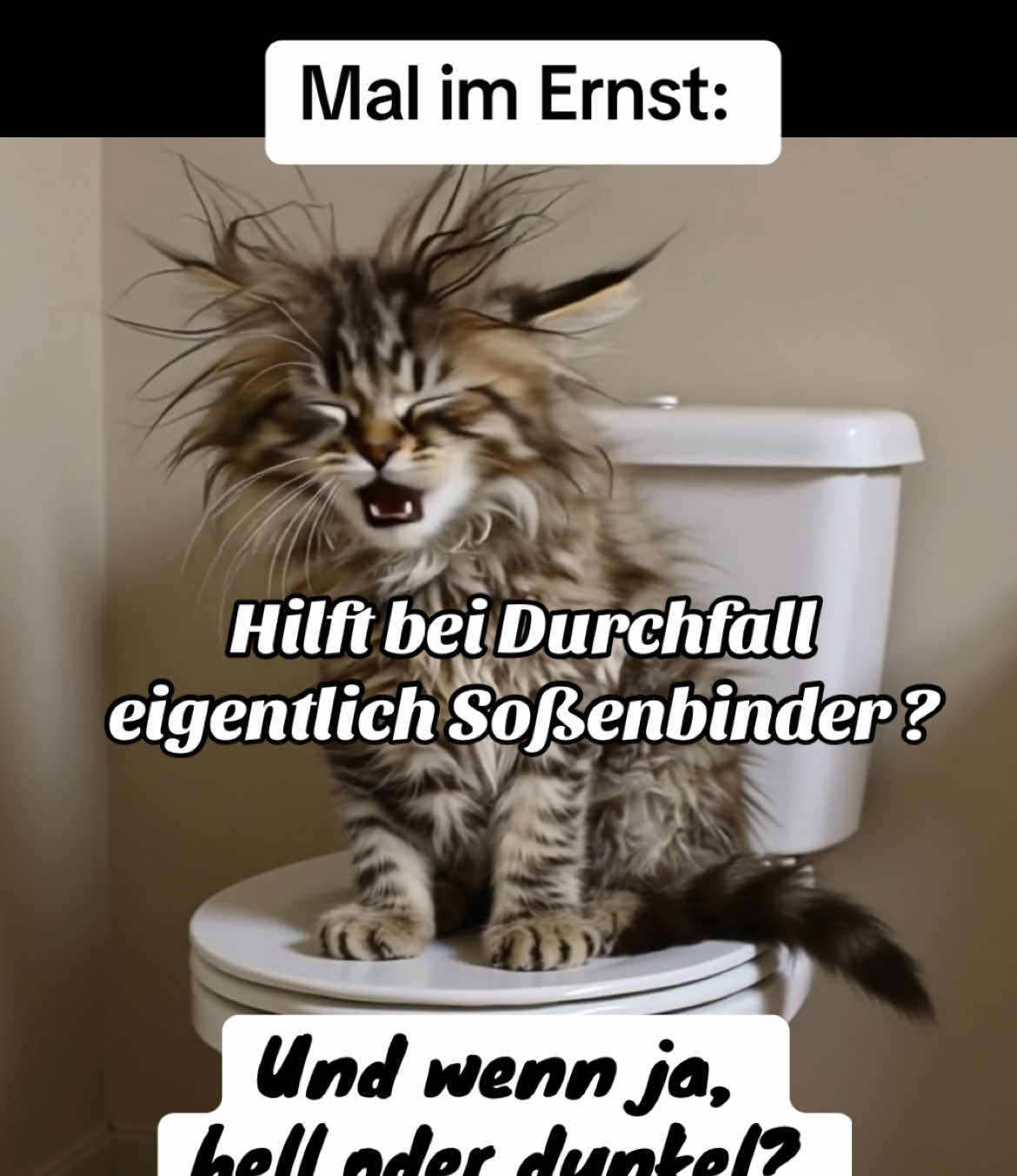 #lustigevideos #lachen Mal im Ernst:  Hilft bei Durchfall eigentlich Soßenbinder ? Und wenn ja, hell oder dunkel?😜