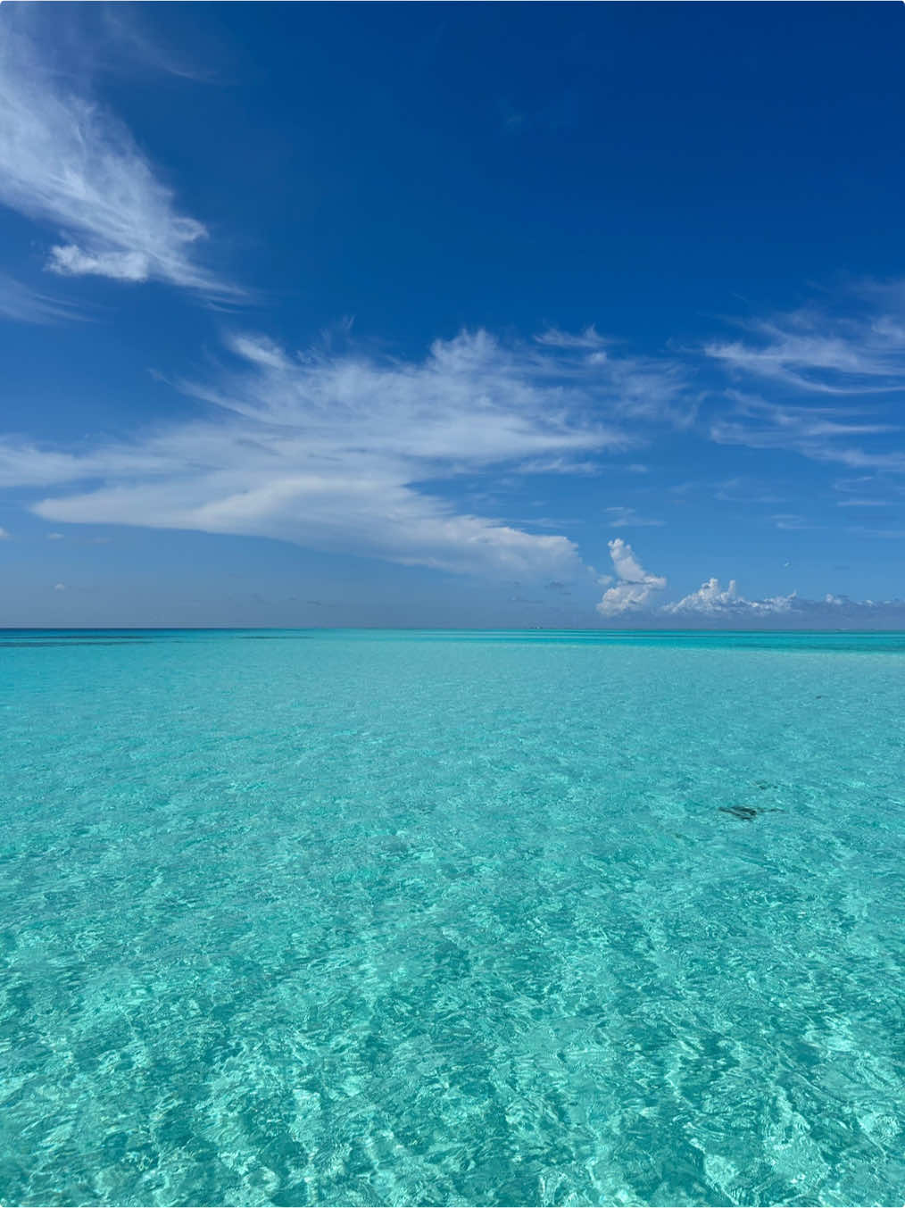 📍Mnemba Island, Zanzibar #zanzibar #traveltok #traveltiktok #mnembaisland 