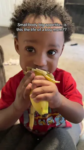 I like bananas but they ain’t that good nowwww 😂😂 #boymom #momlife #sahm