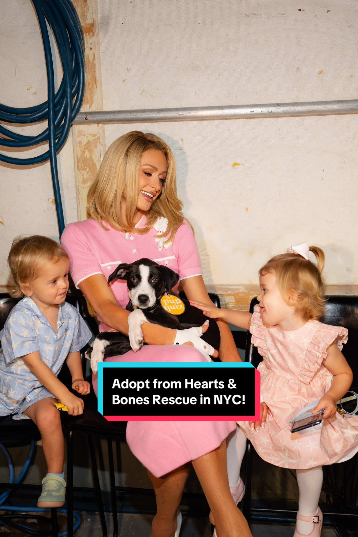 I met the sweetest dogs from @Hearts & Bones Rescue at @thedrewbarrymoreshow 🐶🐾 If you’re in the New York area please consider adopting from them! I completely fell in love 🥹💖 Check your local listing to find out when to tune into The Drew Barrymore Show today 🥰 @Drew Barrymore 
