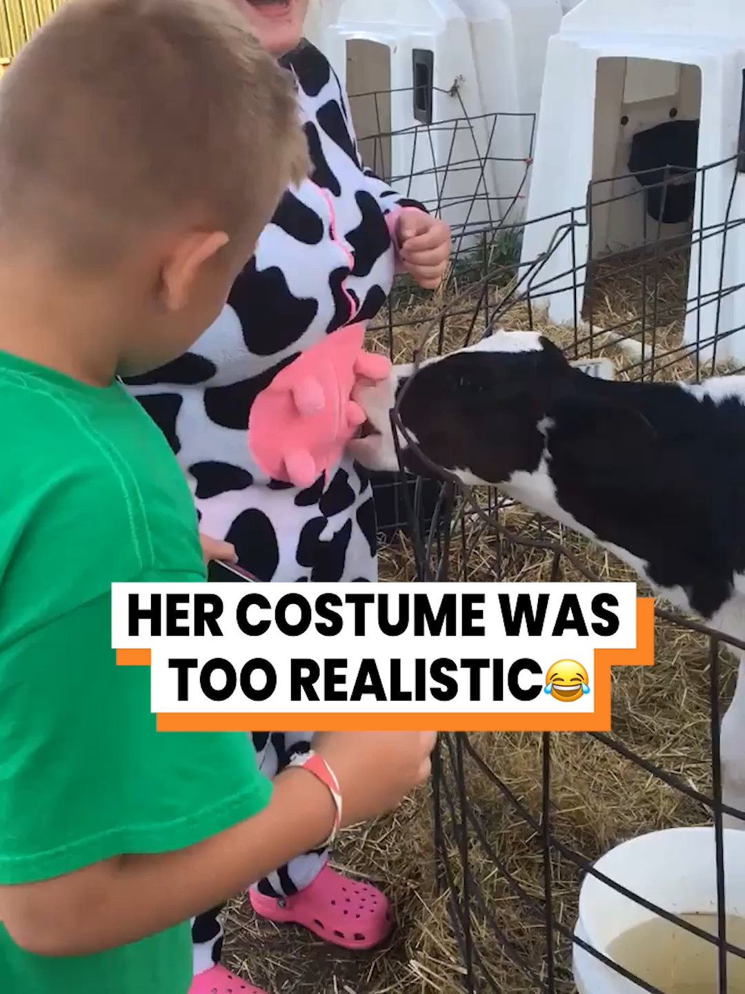 I think this is an original experience 😳 ( @arkbykomi ) #animalmischief #costume #onesies #cow #calf