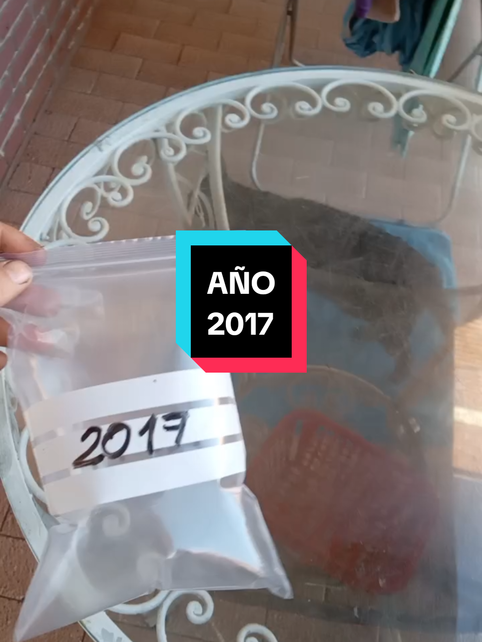 ☄️ chup chup ☄️AÑO 2017 #quieroserfamoso 