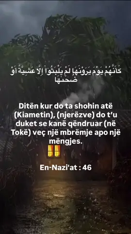 Përgaditu për atë Ditë! #kuran #feja_madheshtore_ #fejaislame #islami 