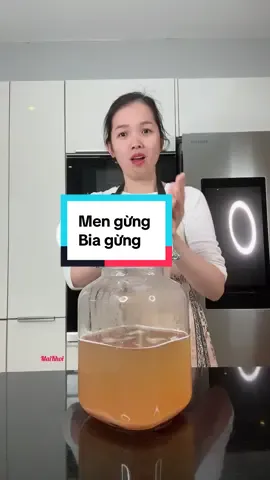 Làm men gừng và bia gừng đơn giản tại nhà nè #maikhoi #ancungtiktok #LearnOnTikTok #mengung #biagung 