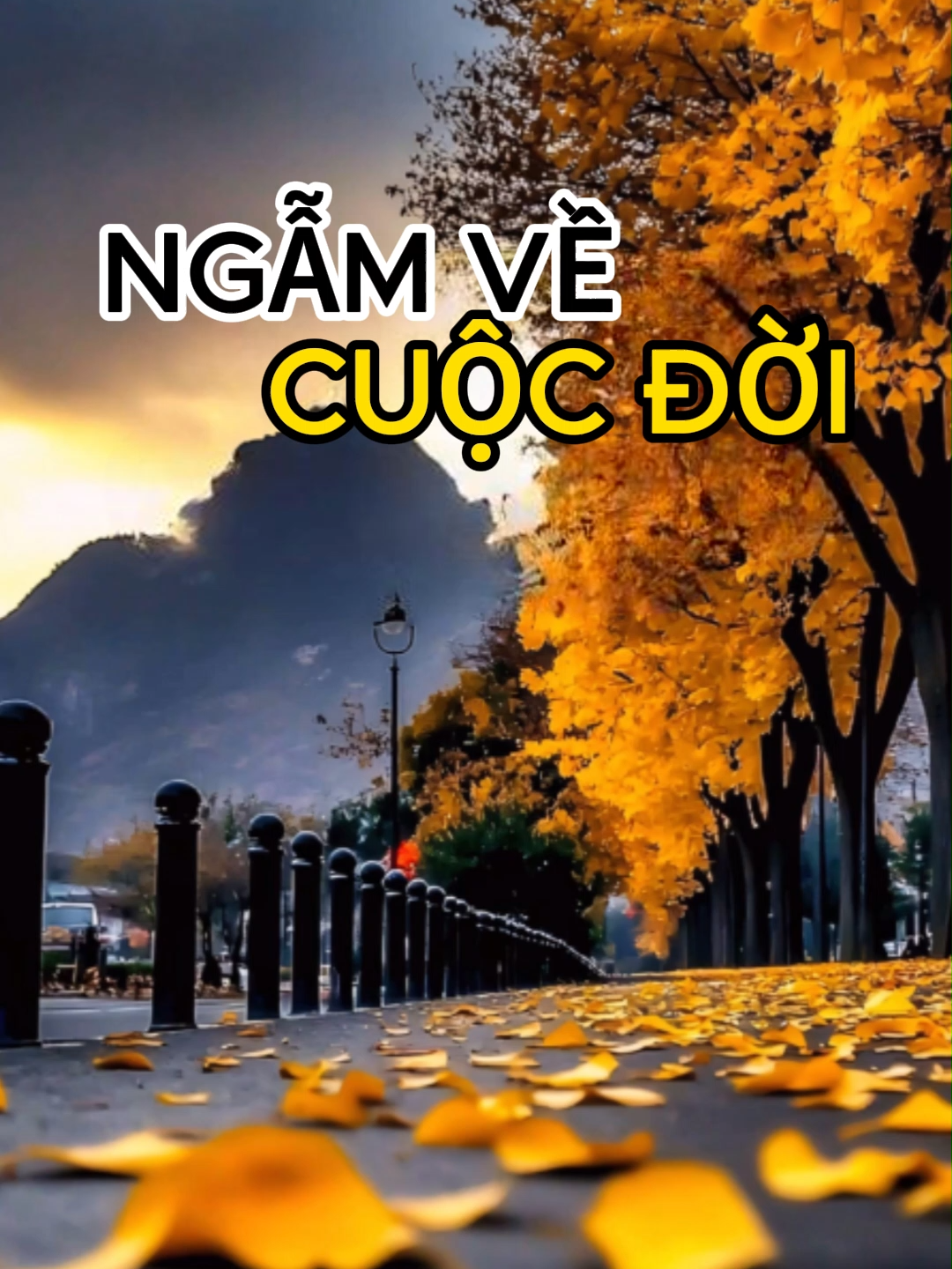 Ngẫm về cuộc đời.
 #songchamtamtinh #cuocdoi