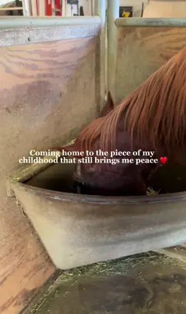 Had to stop by and see my girl while I was home ♥️ #equestriangirl #equestrianlife #horsesoftiktok #childhoodmemories 