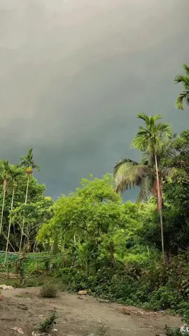 নামাজ প্রত্যেক মুমিনের উপরে ফরজ ❤️‍🩹