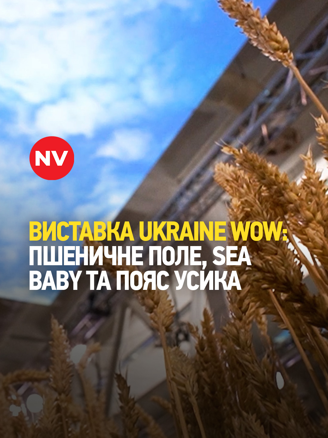 Виставка Ukraine WOW у Києві: пшеничне поле, морський дрон Sea Baby та пояс Усика Як проходить культурний захід — дивіться у нашому відео.#nv #україна #війнавукраїні #героямслава #перемогазанами💙💛💪