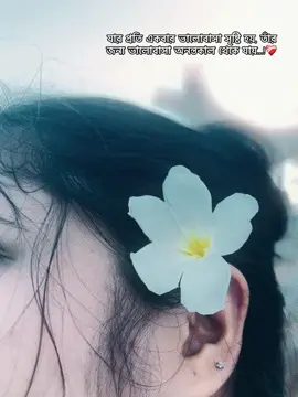 #🌸fayzenteam🌸 #viralvideo 
