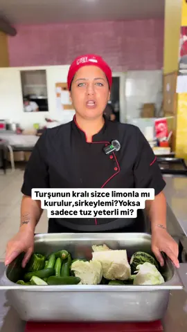📌 Bugün size öyle bir turşu tarifiyle geldim ki… Bir haftadır sabırla beklediğim turşumun son halini görünce inanın çocuk gibi sevindim! 🥒🥕 Çıtır çıtır oldu, tam da Adile Naşit’le Münir Özkul’un meşhur tartışması kadar iddialı: Turşu limonla mı olur, sirkeyle mi? 🤔 Ben bu sefer ikisini birden kullandım çünkü biri olmadan diğeri eksik kalıyor. Rengiyle, kokusuyla, tadıyla tam bir aroma şöleni oldu. İster ekmek arası yiyin, ister yemeklerinizin yanına çıkarın, ister kuru fasulye ya da bulgur pilavının yanında doya doya tüketin. Her haliyle sofranıza neşe katacak! 🌶️🥗 🌿 Tam Ölçüleriyle Turşu Tarifi (5 litrelik kavanoz için) 	•	6yemek kaşığı iri kaya tuzu 	•	1veya 1,5 su bardağı beyaz sirke 	•	1 yemek kaşığı limon tuzu 	•	1 silme yemek kaşığı şeker  •  1avuç kuru nohut 	•	1 baş sarımsak 	•	Aldığı kadar temiz içme suyu 👉 Tüm malzemeleri sebzelerinizle birlikte kavanoza doldurun. Üzerini temiz suyla kapatıp kapağını sıkıca kapatın. Serin ve gölge bir yerde en az 1 hafta bekletin. Sonrasında çıtır çıtır turşunuz hazır! 😍 💬 Sizce turşu sirkeyle mi daha güzel olur, limonla mı? Yorumlara bekliyorum! 👩‍🍳 Deneyenler mutlaka kaydetsin, paylaşsın. Bu tarif %100 tutuyor! #tursu #tiktok #içliköfte #fypシ #youtube  