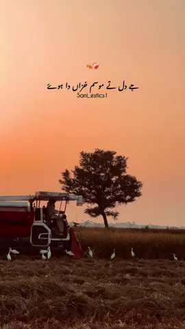 🍂❤️‍🩹#پنڈاں_والے #sani_estics1 