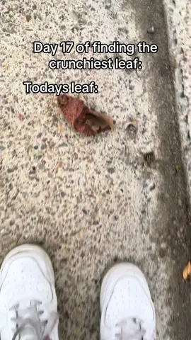 day 17, crunchy and delicious and legendary leaf #fyp #asmr #crunchy #nature #fall 