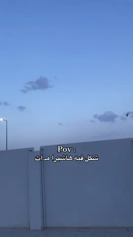تحيه للطيور نقالين العلوم 😂#اكسبلورexplore #الشعب_الصيني_ماله_حل😂😂 #ديمون_سلاير #قاتل_الشیاطین👿🗡 