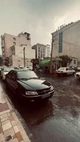 #شتاء 