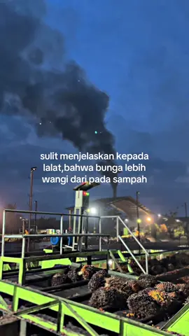 #storykulipabrik #pabriksawit #hlmkuning👷 