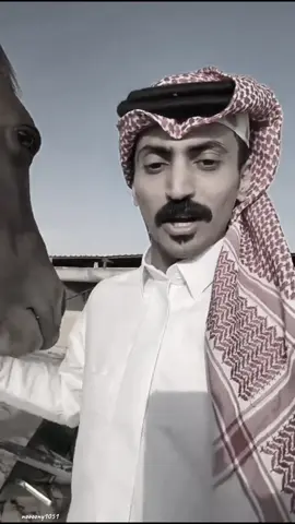 خذني على قد حبي لك وداريني @محمد بن مرجع اليامي #محمد_اليامي #محمد_مرجع_اليامي #خيل_وخياله🐎 #fyp #اكسبلورexplore 