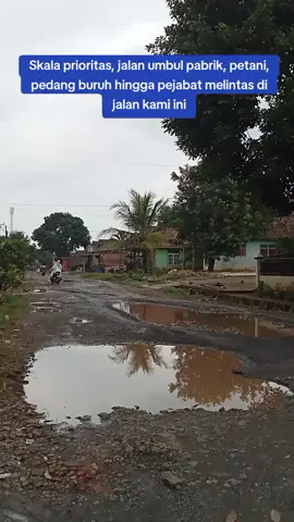 pie iki pak bupati lampung selatan egisyaiful#tiktok#lampungselatan #katibung_lampungselatan #tanjungjatilampungselatan#katibung_lampungselatan 