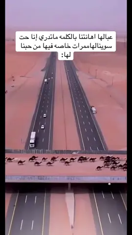 #السعودية #🇸🇦 #مالي_خلق_احط_هاشتاقات 