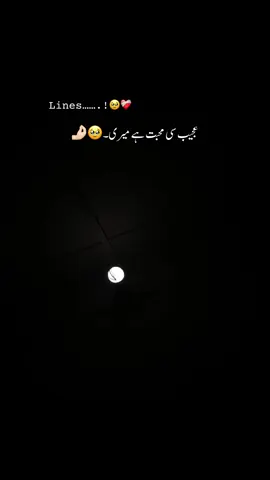 حدوں سے کہہ دو کچھ دیر ہمیں اجازت دیں ۔🥹🤌🏻کچھ کرنا ھے ہمیں، اصولوں کے خلاف جا کر۔🫣🦋😘#foryoupage #trendingvideo #viewsproblem😭 #tiktok #unfreezmyaccount🙏  @Muzamil_Official❤️ 
