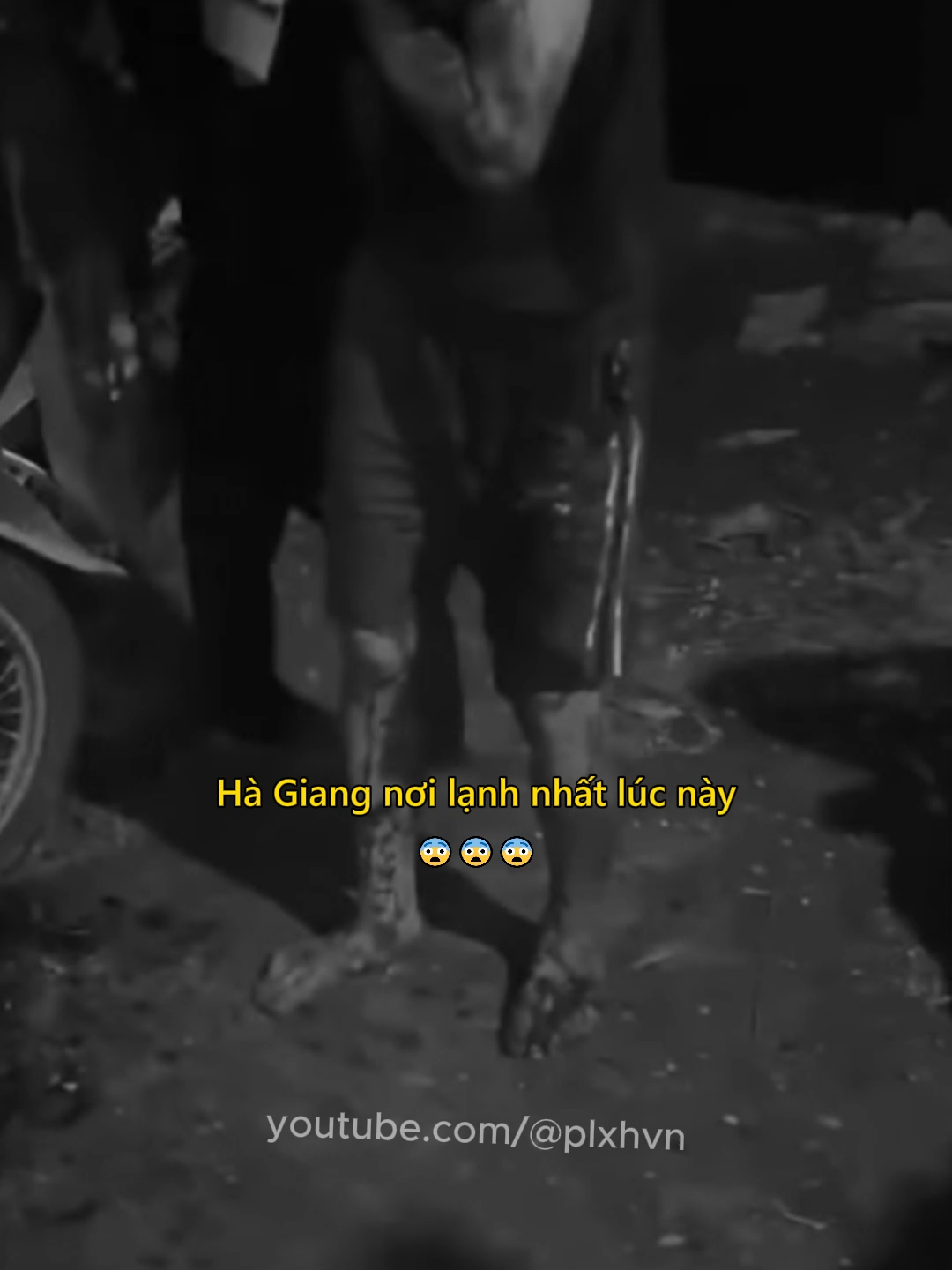 Hà Giang nơi lạnh nhất lúc này 😨 #tintuc #tinnong #giadinh #ngoaitinh #hagiang #plxhvn #phapluatxahoi
